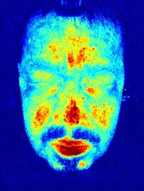 毛3dの皮の検光子、顔の検光子機械セリウムの証明