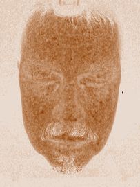 毛3dの皮の検光子、顔の検光子機械セリウムの証明