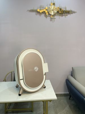 専門の湿気の検光子、博士の容易な気遣うことのためのSkin Therapist CE Portable顔の湿気の検光子機械